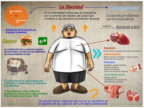 ¿Sabías qué... los alimentos no deben ser un premio ni un castigo en la dieta de los más pequeños?