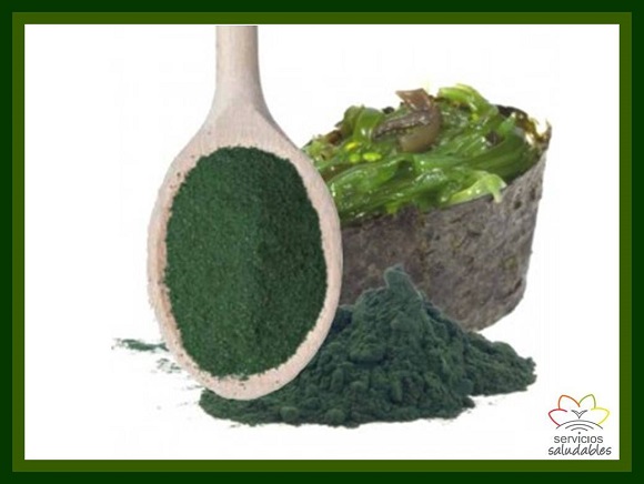 ¿Sabias los beneficios de la Espirulina?