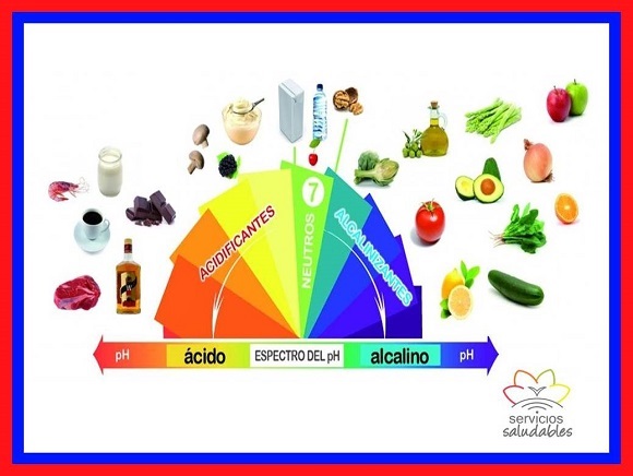 Alimentos Alcalinos y Alimentos Ácidos Alimentos Alcalinos y Alimentos Ácidos