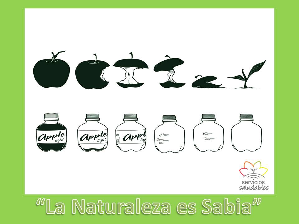 ¿Sabías … que cuando consumes frutas 