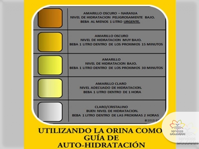 ¿SABIAS QUE NOS INDICA EL COLOR DE LA ORINA? ¿SABIAS QUE NOS INDICA EL COLOR DE LA ORINA?